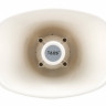 TADS DS-706 - Громкоговоритель рупорный, 30Вт