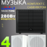 MusicTone MT300W - Акустика для кафе бара ресторана, комплект с сабвуфером