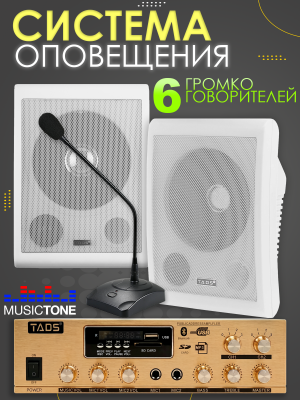 MusicTone AMT55 - Система оповещения с микрофоном