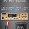MusicTone AMT55 - Система оповещения с микрофоном