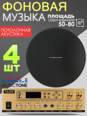 MusicTone MT06 Потолочная акустическая система, комплект для фоновой музыки