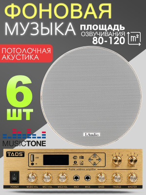 MusicTone MT09-6 - Встраиваемая акустика для фоновой музыки 