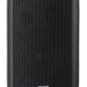 TADS DS502 BLACK - Настенная акустическая система, 20Вт