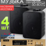 MusicTone MT02B Акустика для кафе, комплект для фоновой музыки