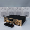 MusicTone MT03W Комплект акустики для кафе