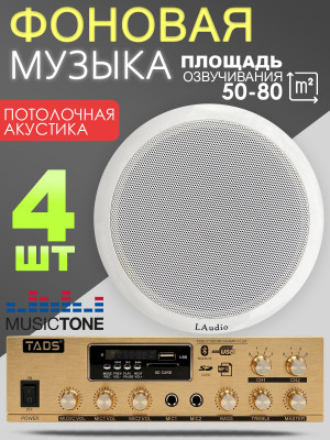 MusicTone MT04 Потолочные колонки с усилителем