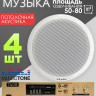 MusicTone MT04 Потолочные колонки с усилителем