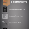 MusicTone PA-240 - Комплект активной акустики с беспроводным микрофоном