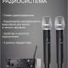 MusicTone PA-240 - Комплект активной акустики с беспроводным микрофоном
