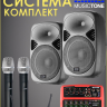 MusicTone PA-240 - Комплект активной акустики с беспроводным микрофоном