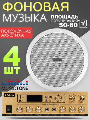 MusicTone MT07 Потолочная акустическая система