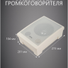 Система оповещения и музыкальной трансляции с микрофоном MusicTone AMT100