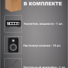 Система оповещения и музыкальной трансляции с микрофоном MusicTone AMT100