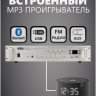 Система оповещения и музыкальной трансляции с микрофоном MusicTone AMT100