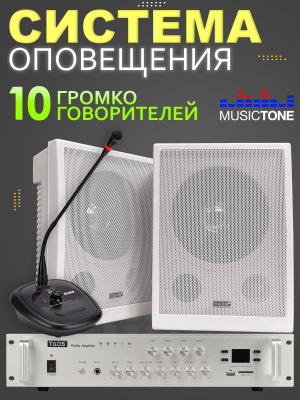 Система оповещения и музыкальной трансляции с микрофоном MusicTone AMT100