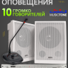 Система оповещения и музыкальной трансляции с микрофоном MusicTone AMT100