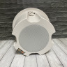 ABK WA-251 - Сабвуфер встраиваемый