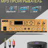 Musictone AMT20 Система оповещения с микрофоном 