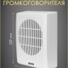 Musictone AMT20 Система оповещения с микрофоном 