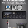 MusicTone CMT04 Потолочные колонки с усилителем