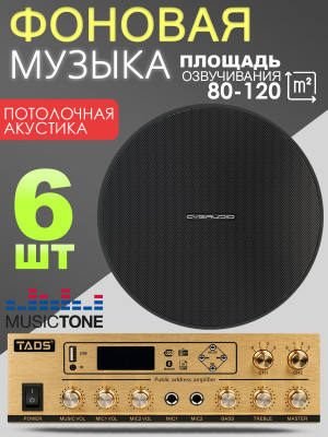 MusicTone MT06-6 Потолочная акустическая система, комплект с усилителем
