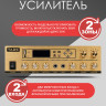 MusicTone MT06-6 Потолочная акустическая система, комплект с усилителем