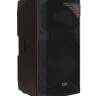 ZTX audio DX-115 - активная акустическая система