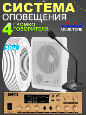 Система оповещения с микрофоном MusicTone AMT40