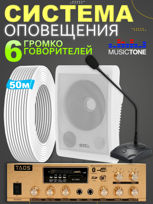Система оповещения и музыкальной трансляции с микрофоном MusicTone AMT60