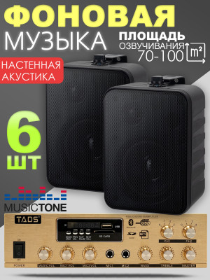 MusicTone MT02-6 Акустика для кафе, комплект для фоновой музыки