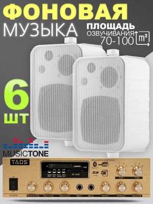MusicTone MT03W-6 Комплект акустики для кафе