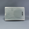 LAudio LAW8164W - Настенная акустическая система, 40Вт
