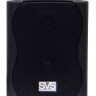 SVS Audiotechnik WS-20 Black - Настенная акустика, 10Вт