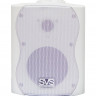 SVS Audiotechnik WS-20 White - Настенная акустика