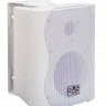 SVS Audiotechnik WS-20 White - Настенная акустика