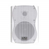 SVS Audiotechnik WS-20 White - Настенная акустика