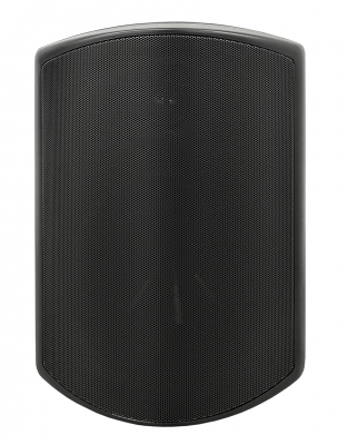 SVS Audiotechnik WSP-6B PRO - Всепогодная трансляционная акустическая система, 40Вт