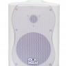 SVS Audiotechnik WS-30 White - Настенная акустика, 20Вт