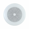 CVGaudio WT58W - Колонка для сауны, бани, бассейна, 20Вт