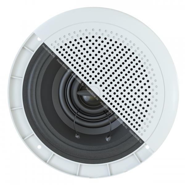 CVGaudio WT58W - Колонка для сауны, бани, бассейна, 20Вт