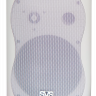 SVS Audiotechnik WS-40 White - Настенная акустическая система, 30Вт