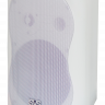 SVS Audiotechnik WS-40 White - Настенная акустическая система, 30Вт