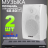 Musictone VMT60W - Колонки для кафе 