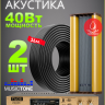 MusicTone OMT220 - Уличная акустика комплект с усилителем и кабелем усилителем, 40Вт