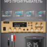 MusicTone OMT220 - Уличная акустика комплект с усилителем и кабелем усилителем, 40Вт
