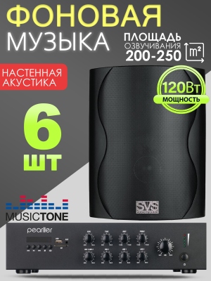 MusicTone MT120B Акустика для кафе бара магазина, комплект для фоновой музыки