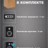 MusicTone OMT02B - Настенная акустика в комплекте с уличной колонкой
