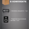 Musictone MT810 - Подвесная акустика для высоких потолков с усилителем 