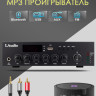 Musictone MT810 - Подвесная акустика для высоких потолков с усилителем 
