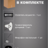 MusicTone MT-AZS20 Система громкого оповещения для АЗС